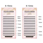 ARISON 3D/4D/5D/6D W-Shape Eyelashes Extension Premade Volume Fans YY-shape Lashes Faux Mink Soft Easy Faning Natural Lash - Image 3